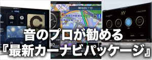 2016carnavi
